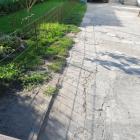 BF25 balatonfenyvesi apartman 