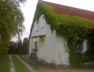 BF10_2 balatonfenyvesi nyaraló Balatonfenyvesen