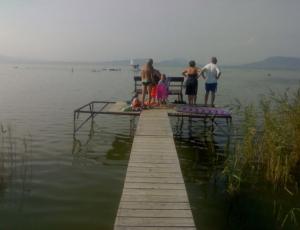 BF10_7 vízparti balatonfenyvesi nyaraló
