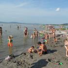 balatonfenyvesi strand